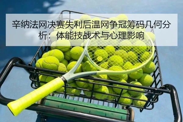 辛纳法网决赛失利后温网争冠筹码几何分析：体能技战术与心理影响 - jiuyouhui