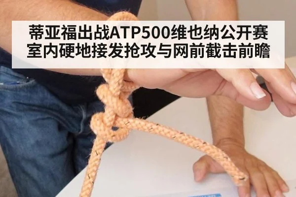 蒂亚福出战ATP500维也纳公开赛 室内硬地接发抢攻与网前截击前瞻