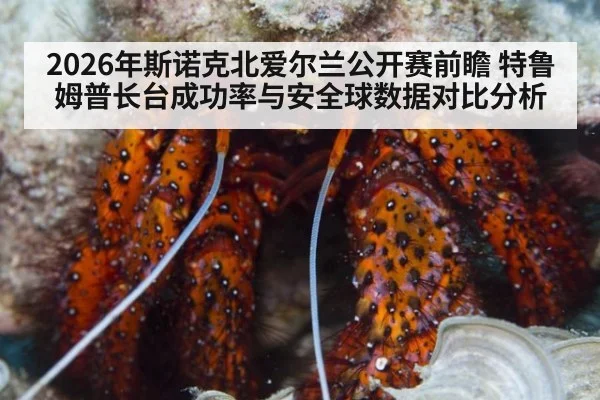 2026年斯诺克北爱尔兰公开赛前瞻 特鲁姆普长台成功率与安全球数据对比分析