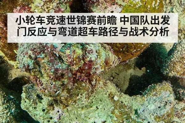 小轮车竞速世锦赛前瞻 中国队出发门反应与弯道超车路径与战术分析
